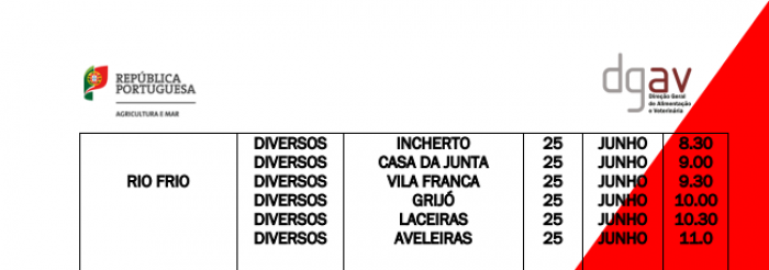 Vacina&ccedil;&atilde;o Antirr&aacute;bica