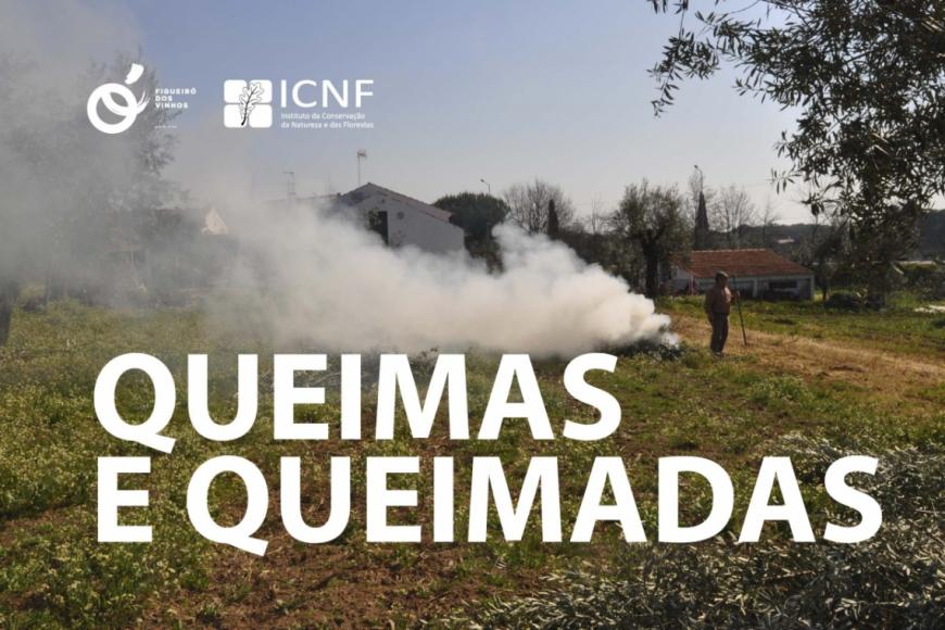 Queimas e Queimadas